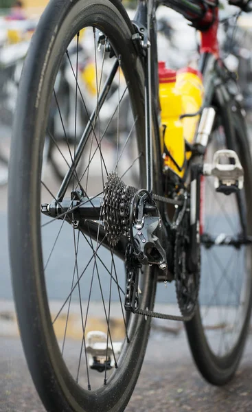 Roda traseira da bicicleta de pista de esportes . — Fotografia de Stock