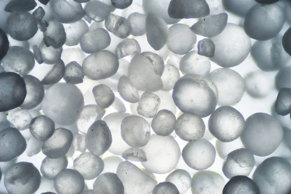 Il mondo microscopico. Cristalli di sale . — Foto Stock