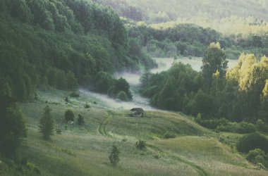 Sis orman toprağa üzerinden yayılır.