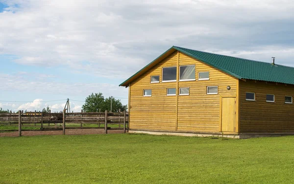 Strutsar i paddock på gården. — Stockfoto