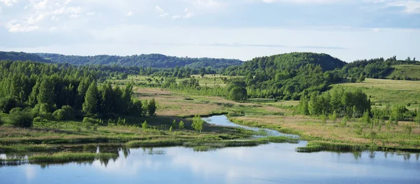 Damm och skog i Izborsk, Ryssland. — Stockfoto