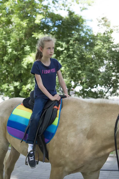 Portrait of little girl riding horse. — Stock Photo, Image