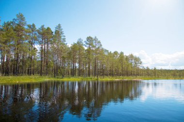 Viru Raba bataklık Gölü Estonya.