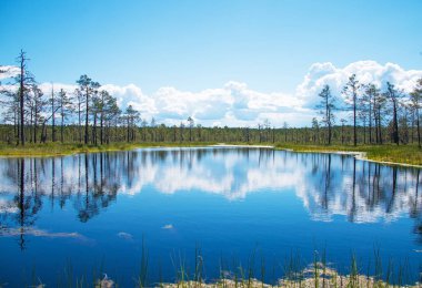 Viru Raba bataklık Gölü Estonya.