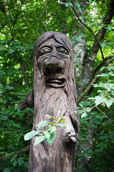 Carved wooden figure in the forest. — Stock Photo, Image