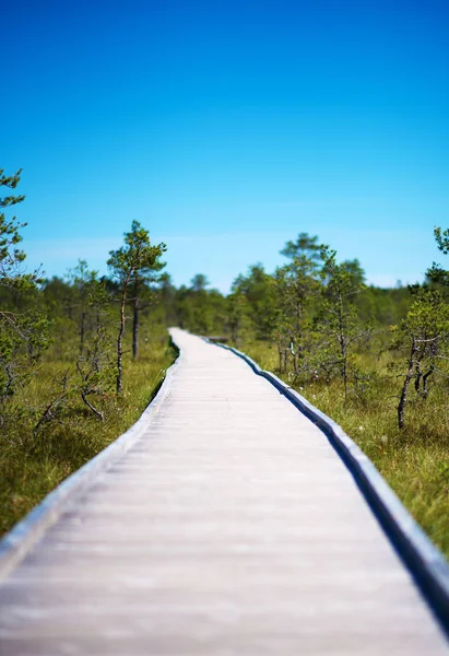 Dřevěný chodník na bažině. Virumaa Raba, park Lahemaa, Estonsko. — Stock fotografie