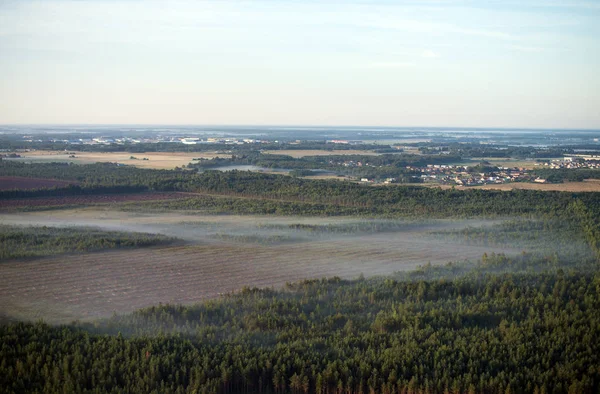 Deforestation. Summer morning mist over the forest. — Stock Photo, Image