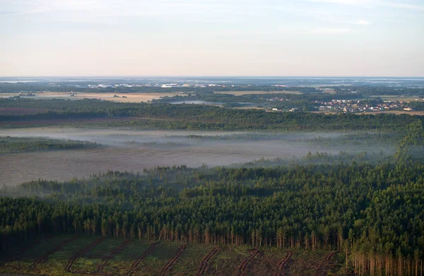 Deforestation. Summer morning mist over the forest. — Stock Photo, Image