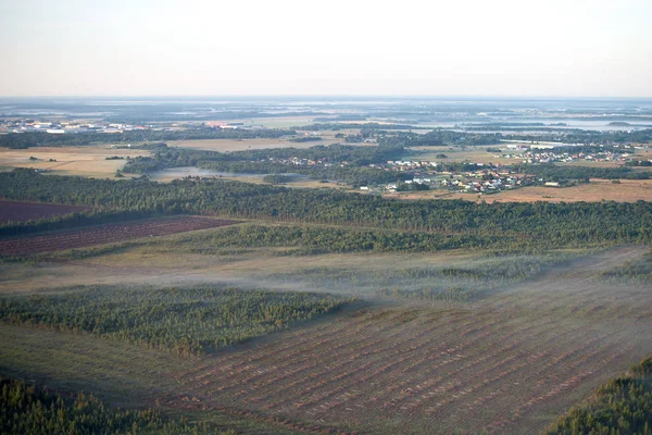 Deforestation. Summer morning mist over the forest. — Stock Photo, Image