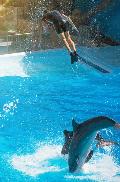 Show mit Delfinen. Mann springt aus dem Wasser. — Stockfoto