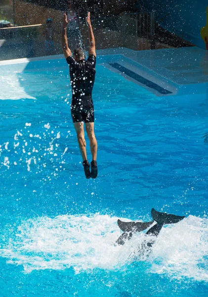 Show mit Delfinen. Mann springt aus dem Wasser. — Stockfoto