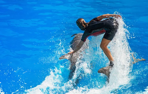 Spectacle avec les dauphins. Femme debout sur un dauphin . — Photo