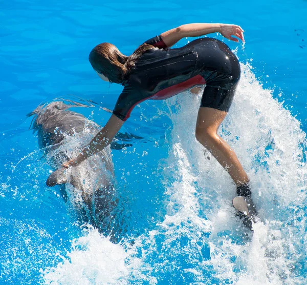 Show con delfines. Mujer de pie sobre un delfín . —  Fotos de Stock