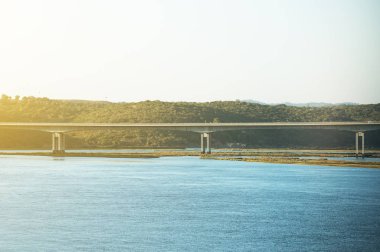 Portimao Arade nehirde otomobil köprüden.