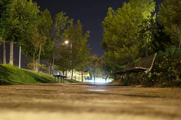 Night park with trees with benches. — Stock Photo, Image