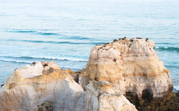 Belle plage de rochers près de l'océan . — Photo