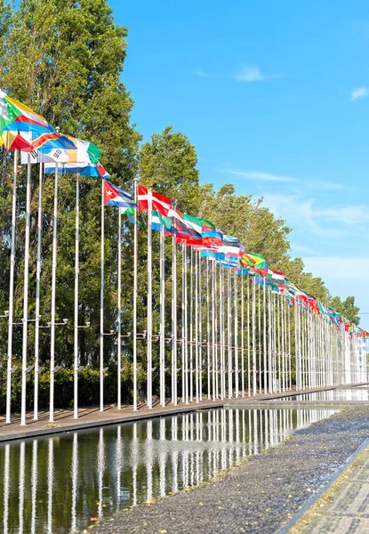 Banderas en el parque de las naciones en Lisboa . —  Fotos de Stock