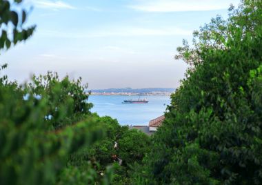 Toplu taşıyıcı gemisi Bay.