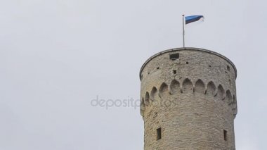 Tallinn, Estonya 'daki Pikk Hermann Kulesi.