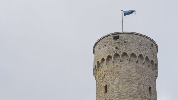 Tallinn, Estonya 'daki Pikk Hermann Kulesi. — Stok video