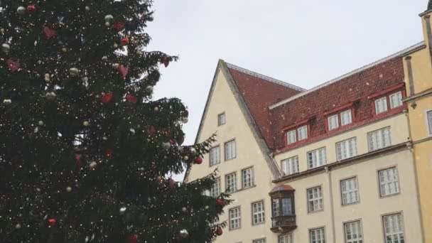Árvore de Natal na Praça da Câmara Municipal em Tallinn. 2017 . — Vídeo de Stock