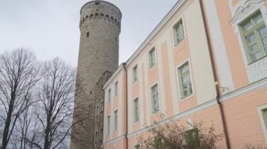 Estonya Parlamentosu binası. Toompea castle.