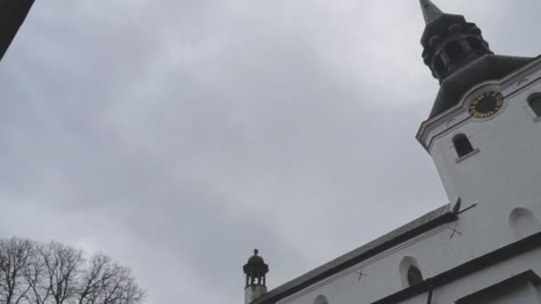 Eski Tallinn Saint Mary's Cathedral. — Stok video