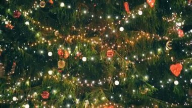 Noel ağacı Town Hall Meydanı.