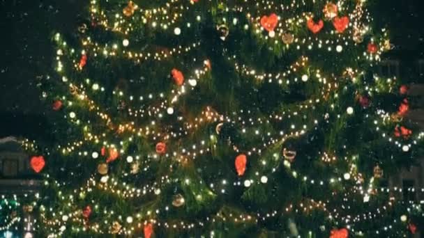 Weihnachtsbaum Auf Dem Rathausplatz — Stockvideo