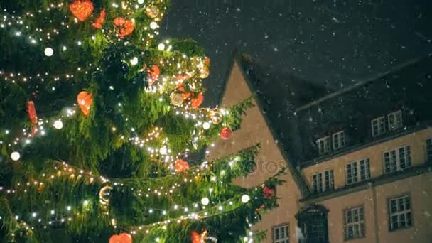 Χριστουγεννιάτικο Δέντρο Στην Πλατεία Του Δημαρχείου — Αρχείο Βίντεο