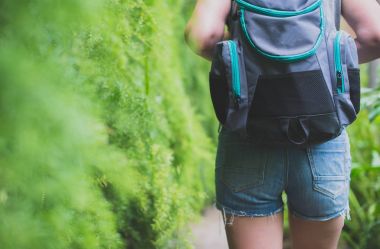 Ormanın içinde sırt çantası ile kadın Gezgin.