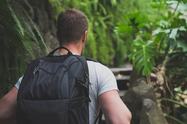 Voyageur homme avec sac à dos dans la forêt . — Photo