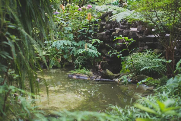 Çok farklı bitkilerin Botanik Bahçesi.