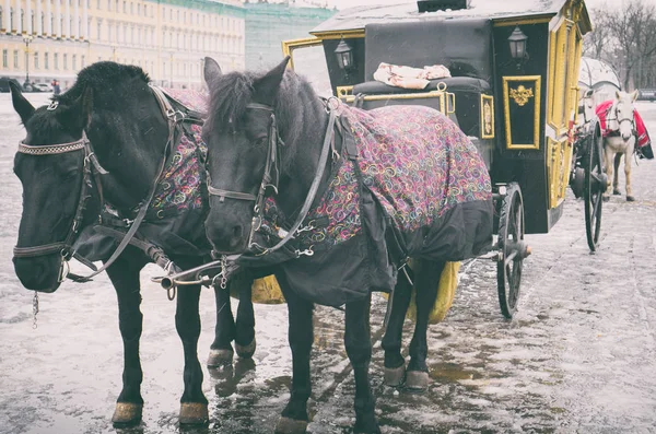 Carriage near the Winter Palace in Saint Petersburg. — Stock Photo, Image