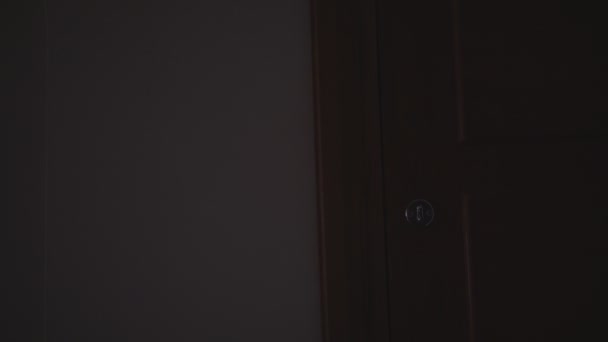 Dieb Öffnet Nachts Mit Taschenlampe Die Tür — Stockvideo