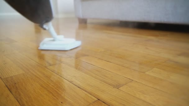 乾燥蒸気の洗剤が付いている床をクリーニング — ストック動画