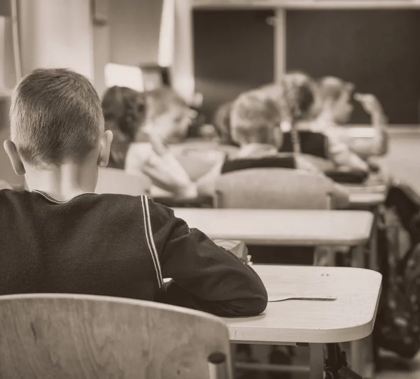 Niños en clase en la escuela. Vista trasera . —  Fotos de Stock