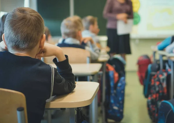 Enfants et enseignants en classe à l'école. Vue arrière . — Photo