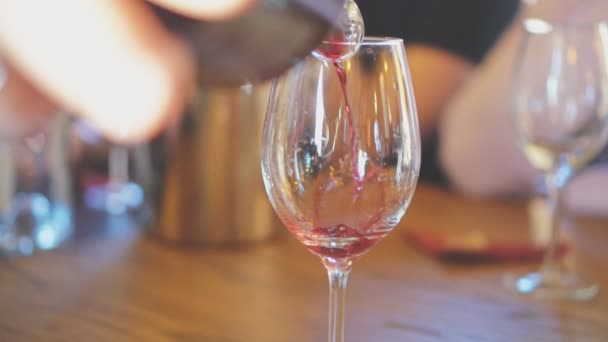 Despeje Vinho Tinto Garrafa Vidro Degustação Vinhos — Vídeo de Stock