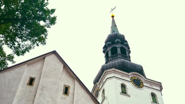 Estse kerken. Lutherse en orthodoxe kerken. — Stockvideo