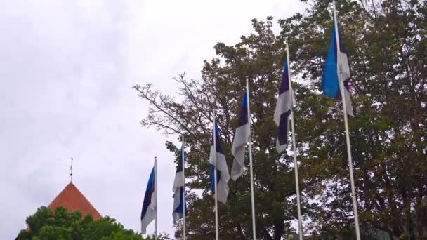 War of Independence Victory Column and flags of Estonia. — Stock Video