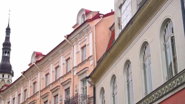 Prédio da Câmara Municipal com o velho Thomas em Tallinn . — Vídeo de Stock