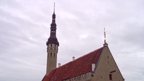 Stadhuis met oude Thomas in Tallinn. — Stockvideo