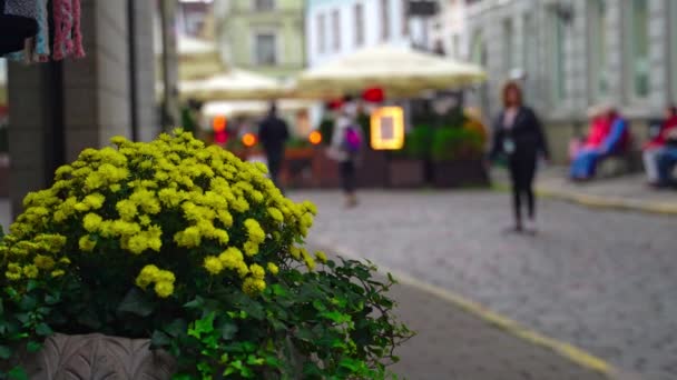 Відеоматеріал та вулиці старого міста Таллінна.. — стокове відео