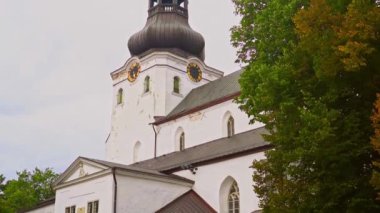 Eski Tallinn 'deki St. Mary Katedrali manzarası.