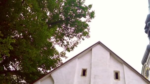 View Mary Cathedral Old Tallinn — стоковое видео