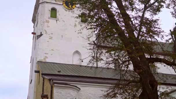 Vue Cathédrale Sainte Marie Dans Vieux Tallinn — Video