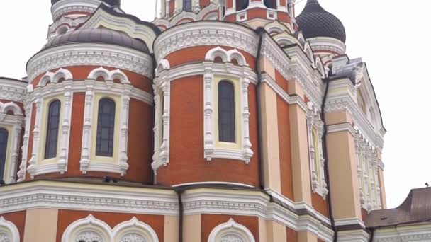 Blick Auf Die Alexandernevsky Kathedrale Tallinn — Stockvideo