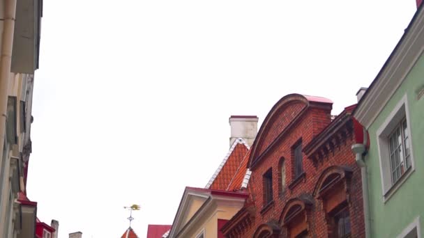 Long Street Και Long Leg Gate Tower Στο Ταλίν Εσθονία — Αρχείο Βίντεο