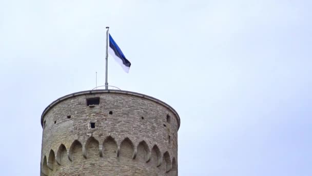 Het Parlementsgebouw Van Estland Kasteel Toompea — Stockvideo